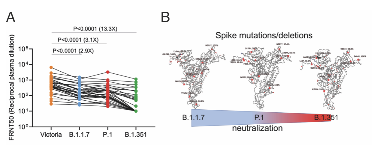 AlphaFold predicts protein structures with high accuracy