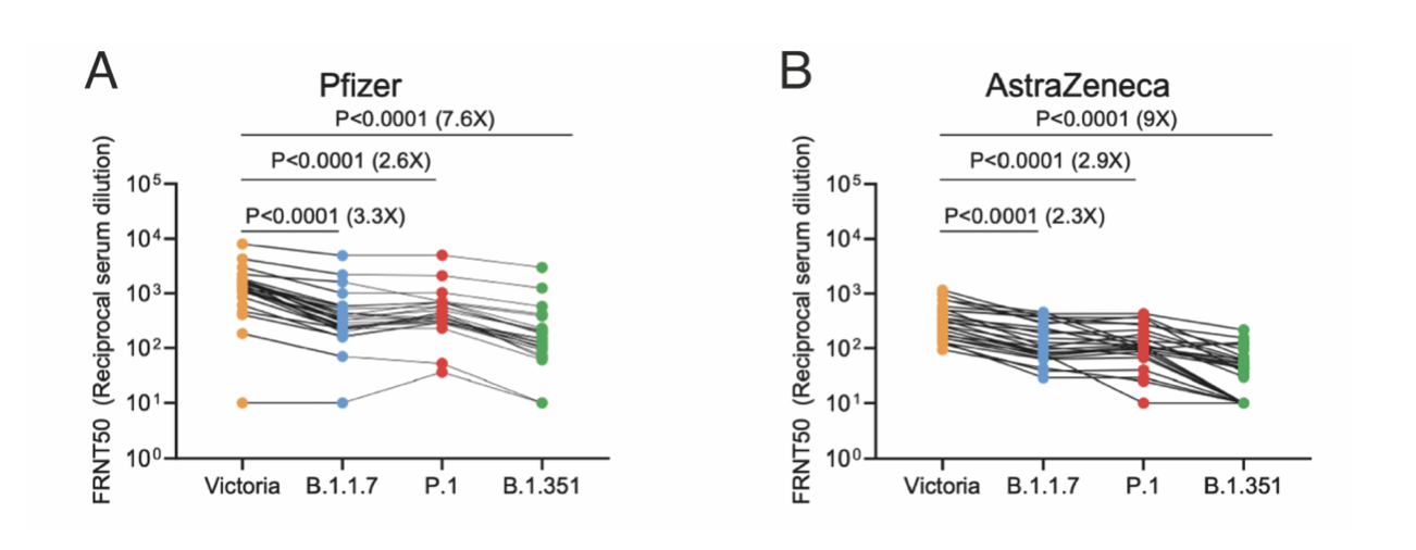 AlphaFold predicts protein structures with high accuracy